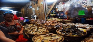 Bulad Galore