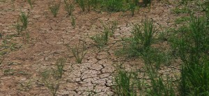 El Niño peaks in Normin