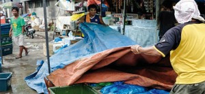 WET MARKET WORK