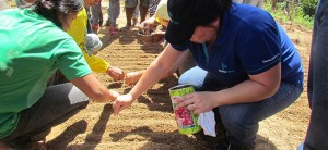 Therma Marine, DSWD provide livelihood skills training to Maco farmers