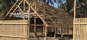 Mangrove nursery rises in El Salvador city