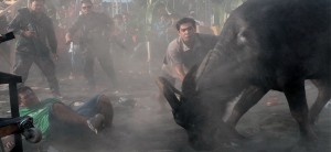 RAGING BULL
