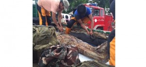 Baganis at it again, 2 alleged commies dead