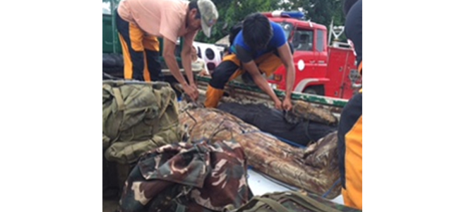 Baganis at it again, 2 alleged commies dead