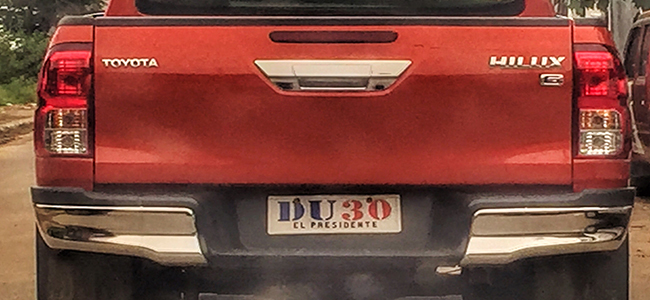 DIE-HARD SUPPORTER