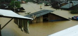 Flood washes out 42 houses in village