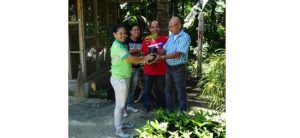 Power firm turns over 400 Falcata saplings