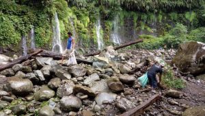 Forest guards to meet this month to review functions
