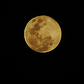 Harvest Moon