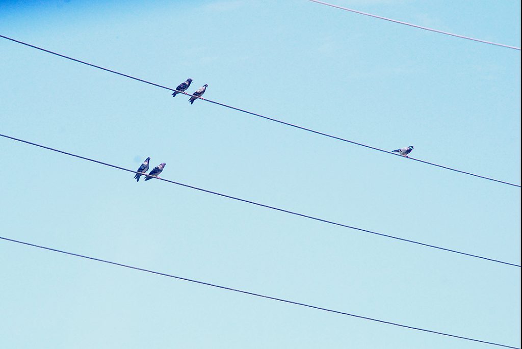 The Wires