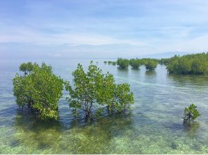 Tubajon Aquamarine Park, Laguindingan