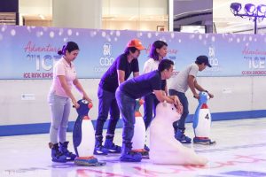 Adventures on Ice: Ice Rink Experience