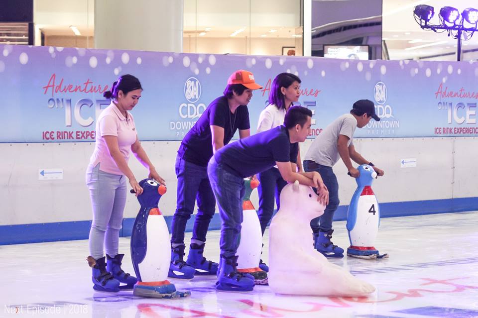 Adventures on Ice: Ice Rink Experience