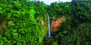 Tourism for the Province
