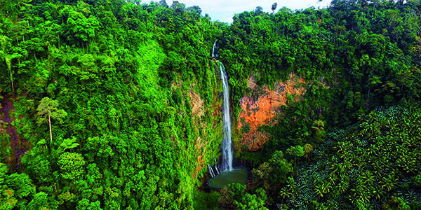 Tourism for the Province