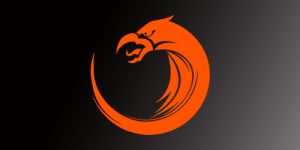Palad not banned from Chongqing Major: TNC