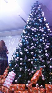 Seda Centrio announces annual tree lighting, kicking off holiday season