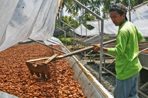 Davao region cacao industry players meet