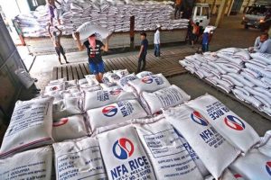 NFA raises Palay prices amid lower rice imports
