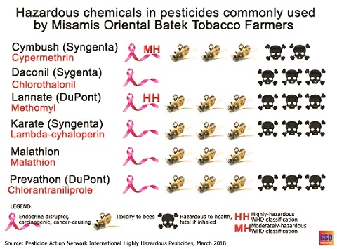 Environment, health impacts awareness factor in tobacco production nosedive