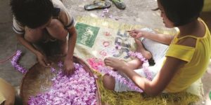 3 generations of educating the young: The garland girls