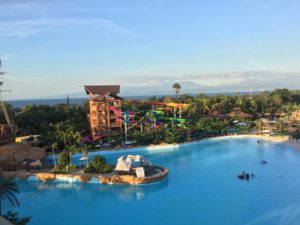 7 Reasons to Go on a Seven Seas Adventure