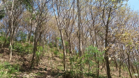 Protecting nature, protecting our future
