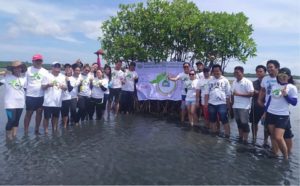 Power firms plant 3k mangroves