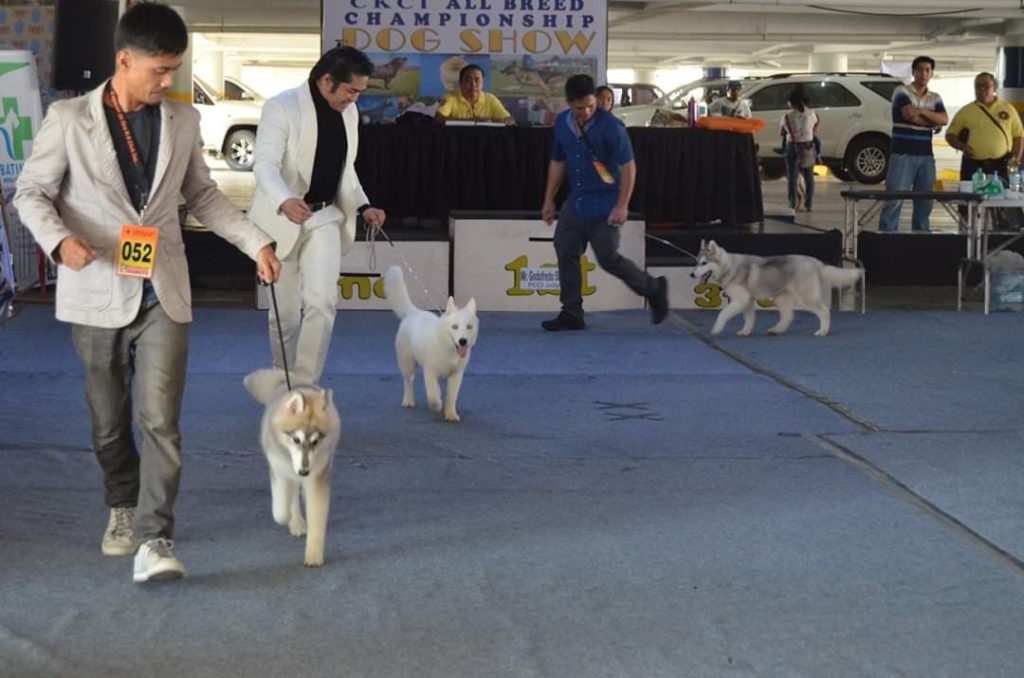 KRASH to host canine competition