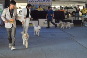 KRASH to host canine competition