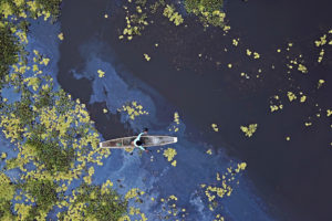 Nat’l confab on conservation of Agusan Marsh kicks off today