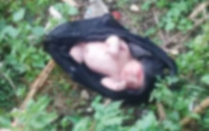 Abandoned newborn child found in Bukidnon