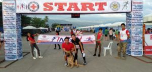 FOUR-LEGGED MARATHONER