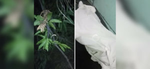 Man, two teenagers  kill selves in Misor, Oro