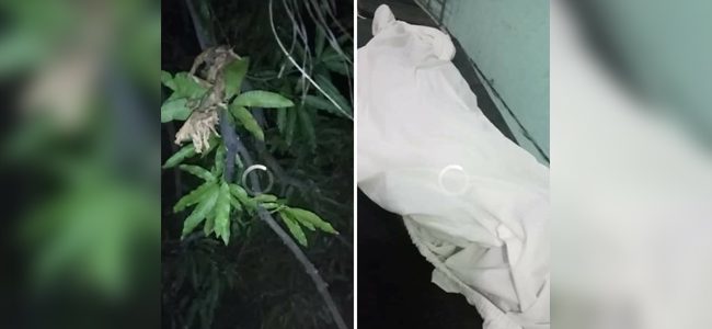 Man, two teenagers kill selves in Misor, Oro