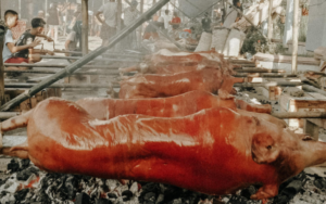 Exploring the distinct flavors of Filipino festival
