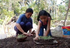 Nocot allots P993m for rice, vegetable subsidy during quarantine