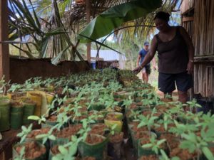 Siargao folk revive barter system