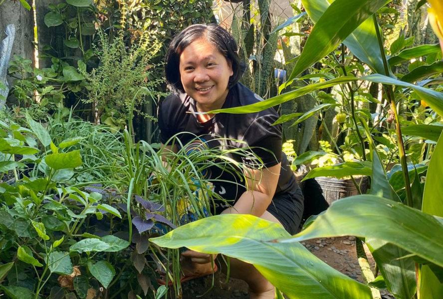 Urban gardening helps Dabawenyos fight boredom