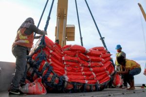 2 vessels bring in 392,000 bags of Vietnam rice via Iligan port