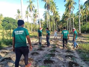 Barmm establishes 'survival gardens' on forestlands