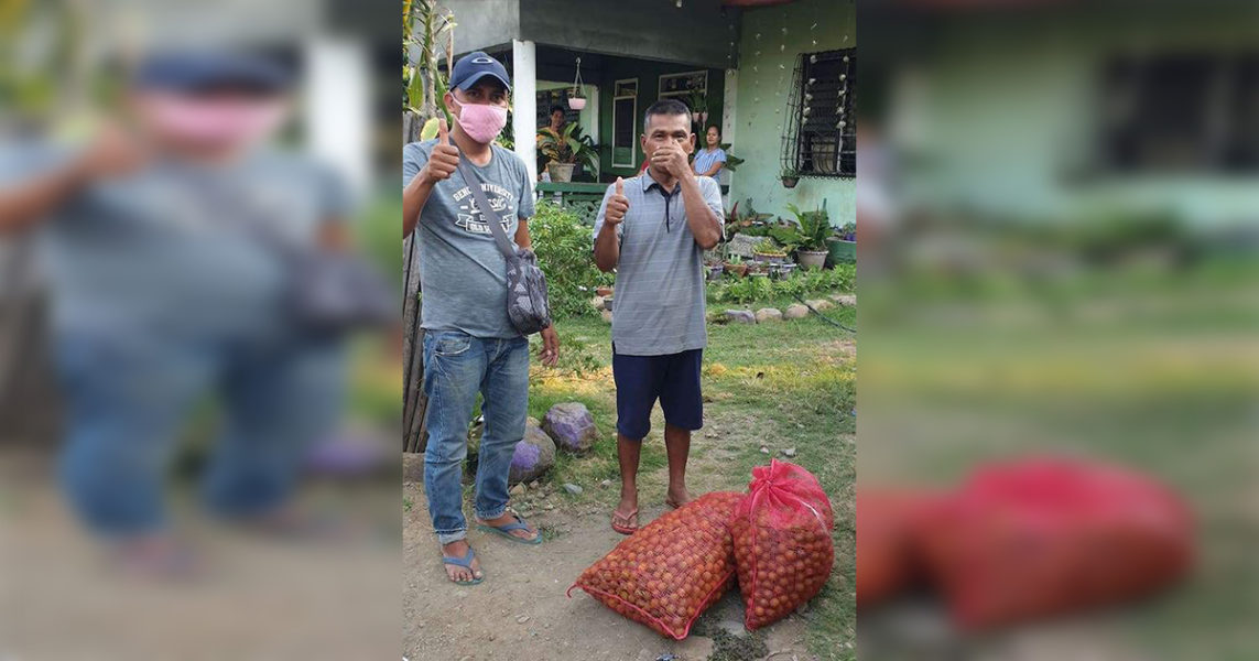 Ex-MILF fighters donate 100 sacks of calamansi in Isulan