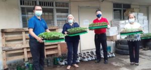 Agri Normin chief: grow food to ensure food security