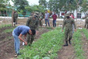 Army, DA in Caraga partner to ease hunger; start ‘Alpas sa Covid-19’