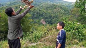 Hydropower plant guard saves young serpent eagle