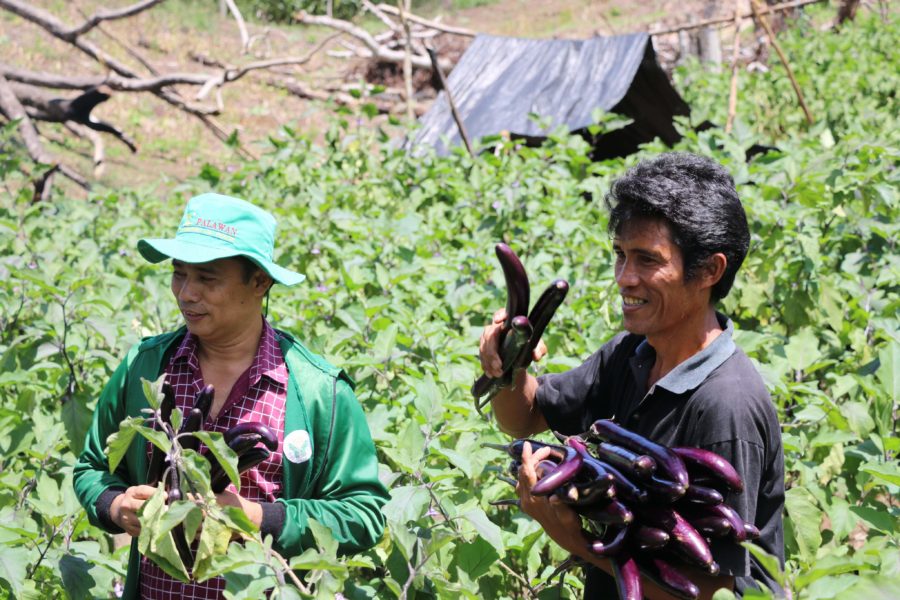 DA, NICA open agri opportunity for IP community in Bukidnon