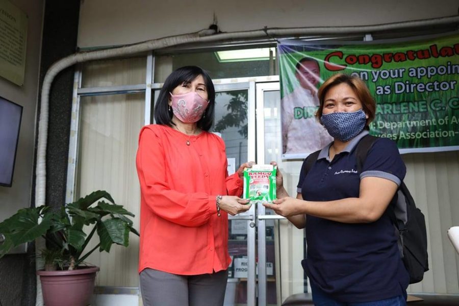 DA-10 helps Deped’s ‘pet plant’  for students’ psychosocial dev't