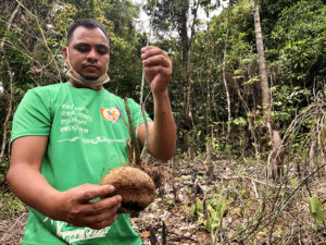 Siargao surfers to go organic farming soon