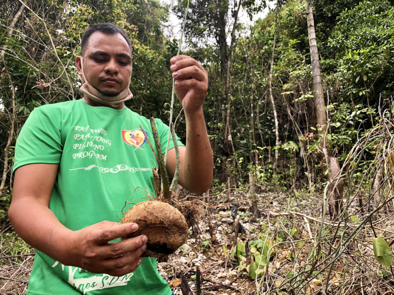 Siargao surfers to go organic farming soon