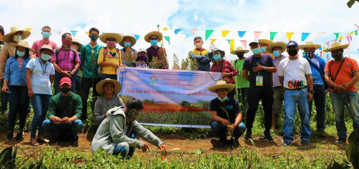Agri field day pushes for sorghum crop’s prod'n, mktg